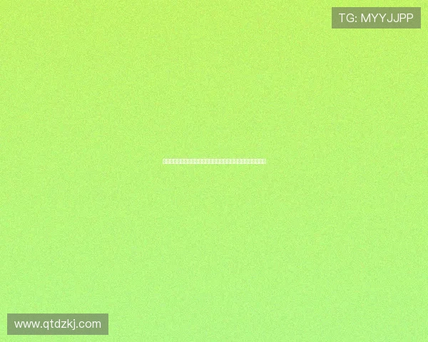 法甲点球大战精彩回顾与分析：技术、心态与裁判判罚的微妙影响